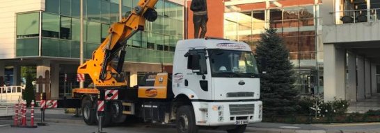 50 Ton Çift Kırma Hiyap Vinç